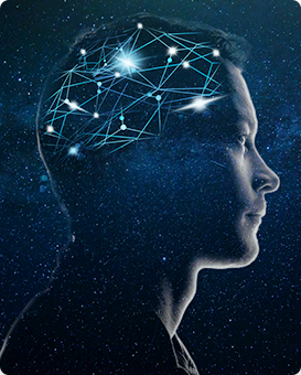 �������g(sh��)